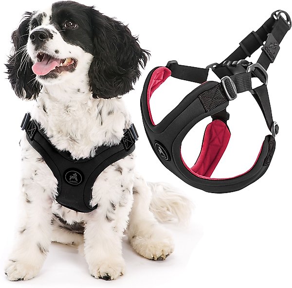 Show full view: Gooby Escape Free Sport Dog Harness, Black, Large: 16 to 24.25-in chest slide 1 of 6
