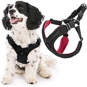 Gooby Escape Free Sport Dog Harness, Black, Large: 16 to 24.25-in chest