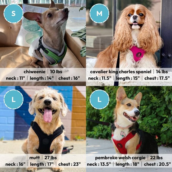 Show full view: Gooby Escape Free Sport Dog Harness, Black, Large: 16 to 24.25-in chest slide 2 of 6