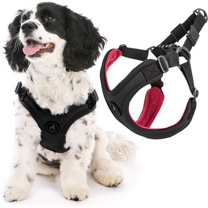 Gooby Escape Free Sport Dog Harness, Black, Medium: 14.25 to 21.5-in chest