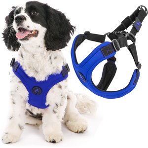 Gooby Escape Free Sport Dog Harness, Blue, Small: 12.5 to 18.75-in chest