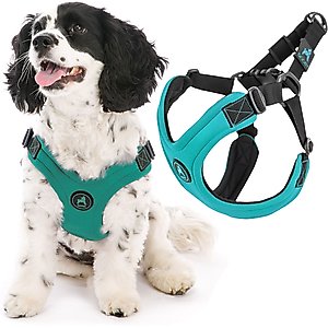 Gooby Comfort X Mesh Dog Harness