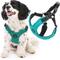 Show in main carousel: Gooby Escape Free Sport Dog Harness, Turquoise, Medium: 14.25 to 21.5-in chest slide 1 of 6