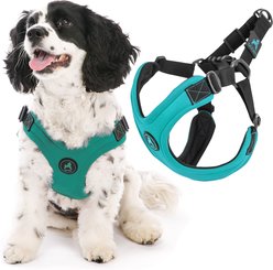 Gooby Escape Free Sport Dog Harness, Turquoise, Small: 12.5 to 18.75-in chest