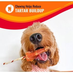 Good 'n' Fun Triple Flavor Kabobs Chicken, Duck & Chicken Liver Dog Treat Chews, 4-oz bag