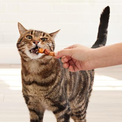 Show full view: Good 'n' Tasty Chicken, Salmon, Tuna Kabob Cat Treats 1.4-oz bag slide 8 of 13