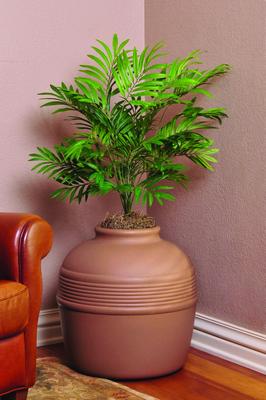 Show full view: Good Pet Stuff Hidden Cat Litter Planter slide 3 of 7