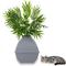 Show in main carousel: Good Pet Stuff The Courtyard Hidden Planter Cat Litter Box, Large, Stone Gray slide 5 of 7