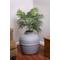 Show in main carousel: Good Pet Stuff The Original Hidden Planter Cat Litter Box, Large, Stone Gray slide 2 of 4