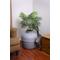 Show in main carousel: Good Pet Stuff The Original Hidden Planter Cat Litter Box, Large, Stone Gray slide 3 of 4