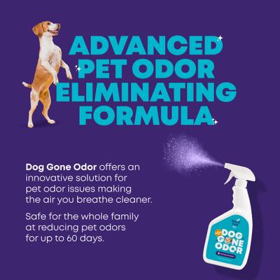 Show full view: Good Salt Pet Gone Odor Deodorizing Spray, 32-oz bottle, 12 count slide 2 of 6