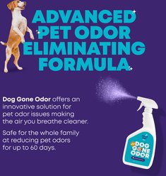 Good Salt Pet Gone Odor Deodorizing Spray, 32-oz bottle, 2 count slide 2 of 4