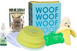 Good Salt Pet Fun In the Sun Gift Pack Dog Toy Variety Pack, Multi Color slide 1 of 3