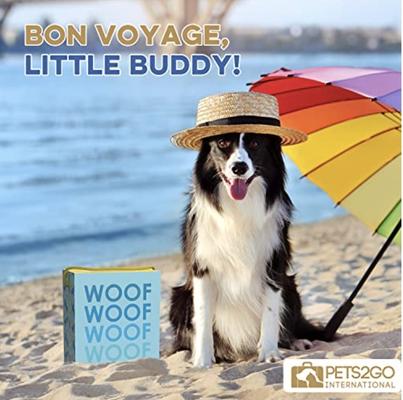 Show full view: Good Salt Pet Fun In the Sun Gift Pack Dog Toy Variety Pack, Multi Color slide 3 of 3