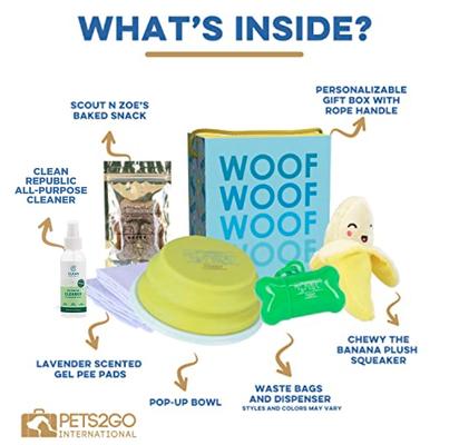 Show full view: Good Salt Pet Fun In the Sun Gift Pack Dog Toy Variety Pack, Multi Color slide 2 of 3