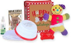 Good Salt Pet Gingerbread Holiday Gift Pack Dog Toy Variety Pack, Multi Color slide 1 of 3