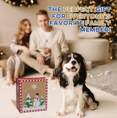 Show full view: Good Salt Pet Christmas Gingerbread Holiday Gift Pack Dog Toy Variety Pack, Multi Color slide 3 of 3