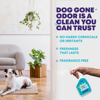 Show full view: Good Salt Pet Gone Odor Deodorizing Spray, 32-fl oz bottle, 1 count slide 3 of 6