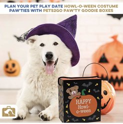 Good Salt Pet Happy Howl-o-ween Gift Pack Dog Toy Variety Pack, Orange/Black slide 2 of 4