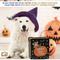 Show in main carousel: Good Salt Pet Happy Howl-o-ween Gift Pack Dog Toy Variety Pack, Orange/Black slide 4 of 4