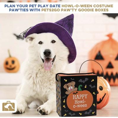 Show full view: Good Salt Pet Happy Howl-o-ween Gift Pack Dog Toy Variety Pack, Orange/Black slide 4 of 4