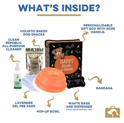 Show full view: Good Salt Pet Happy Howl-o-ween Gift Pack Dog Toy Variety Pack, Orange/Black slide 2 of 4