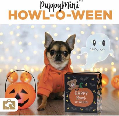 Show full view: Good Salt Pet Happy Howl-o-ween Gift Pack Dog Toy Variety Pack, Orange/Black slide 3 of 4