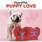 Show in main carousel: Good Salt Pet Puppy Love Gift Pack Dog Toy Variety Pack, Multi Color slide 2 of 3