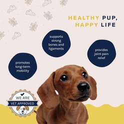 Good Trouble Advanced Hip & Joint Powder Supplement for Dogs, 4.8-oz tub slide 2 of 5