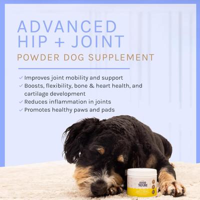 Show full view: Good Trouble Advanced Hip & Joint Powder Supplement for Dogs, 4.8-oz tub slide 5 of 7