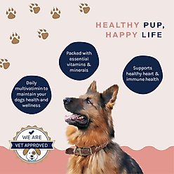 Good Trouble Complete Care Chew Multivitamin for Dogs, 30 count slide 2 of 6