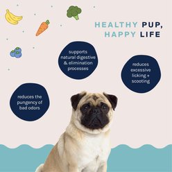 Good Trouble Gland Health Digestive Aid Chew Supplement for Dogs, 30 count slide 2 of 4