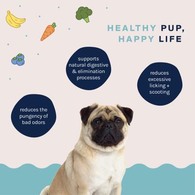 Show full view: Good Trouble Gland Health Digestive Aid Chew Supplement for Dogs, 30 count slide 5 of 6