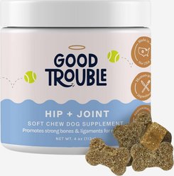Good Trouble Hip & Joint Chew Supplement for Dogs, 30 count