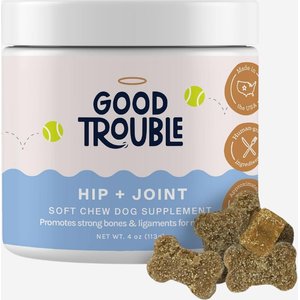 Good Trouble Hip & Joint Chew Supplement for Dogs, 30 count