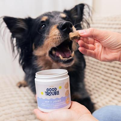 Show full view: Good Trouble Hip & Joint Chew Supplement for Dogs, 30 count slide 6 of 7