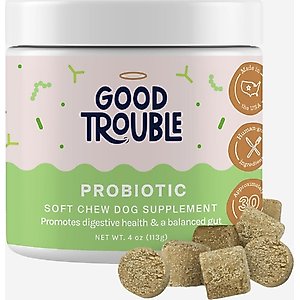 Good Trouble Probiotic Chew Supplement for Dogs, 30 count