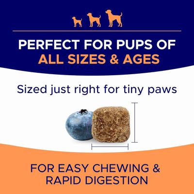 Show full view: GoodGrowlies Allergy & Itch Relief Chicken Flavored Soft Chew Allergy Supplement for Dogs, 180 count slide 8 of 11