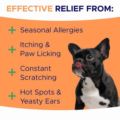 Show full view: GoodGrowlies Allergy & Itch Relief Chicken Flavored Soft Chew Allergy Supplement for Dogs, 180 count slide 3 of 11