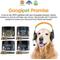Show in main carousel: Googipet 10-in-1 Multivitamin Chicken & Vegetable Flavored Soft Chew Supplement for Dogs, 90 count slide 7 of 11