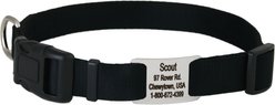 GoTags Adjustable Nameplate Personalized Dog Collar, Black, Medium