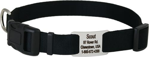 Show full view: GoTags Adjustable Nameplate Personalized Dog Collar, Black, Medium slide 1 of 6