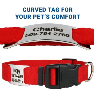 Show full view: GoTags Adjustable Nameplate Personalized Dog Collar, Black, Medium slide 3 of 6