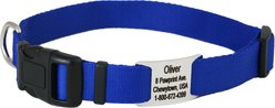 GoTags Adjustable Nameplate Personalized Dog Collar, Blue, Small