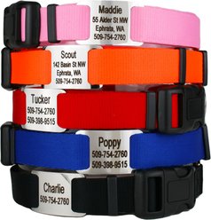 GoTags Adjustable Nameplate Personalized Dog Collar, Pink, Medium slide 2 of 5