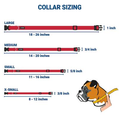 Show full view: GoTags Adjustable Nameplate Personalized Dog Collar, Pink, Small slide 5 of 6