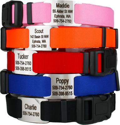 Show full view: GoTags Adjustable Nameplate Personalized Dog Collar, Red, Medium slide 2 of 6