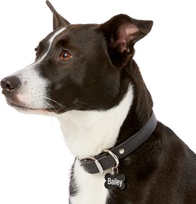 Show full view: GoTags Anodized Aluminum Personalized Dog ID Tag, Bone, Black, Small slide 6 of 8