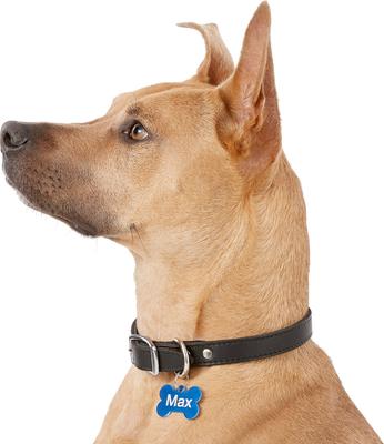 Show full view: GoTags Anodized Aluminum Personalized Dog ID Tag, Bone, Blue, Regular slide 7 of 9