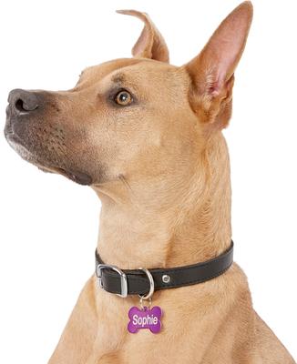 Show full view: GoTags Anodized Aluminum Personalized Dog ID Tag, Bone, Purple, Regular slide 6 of 8